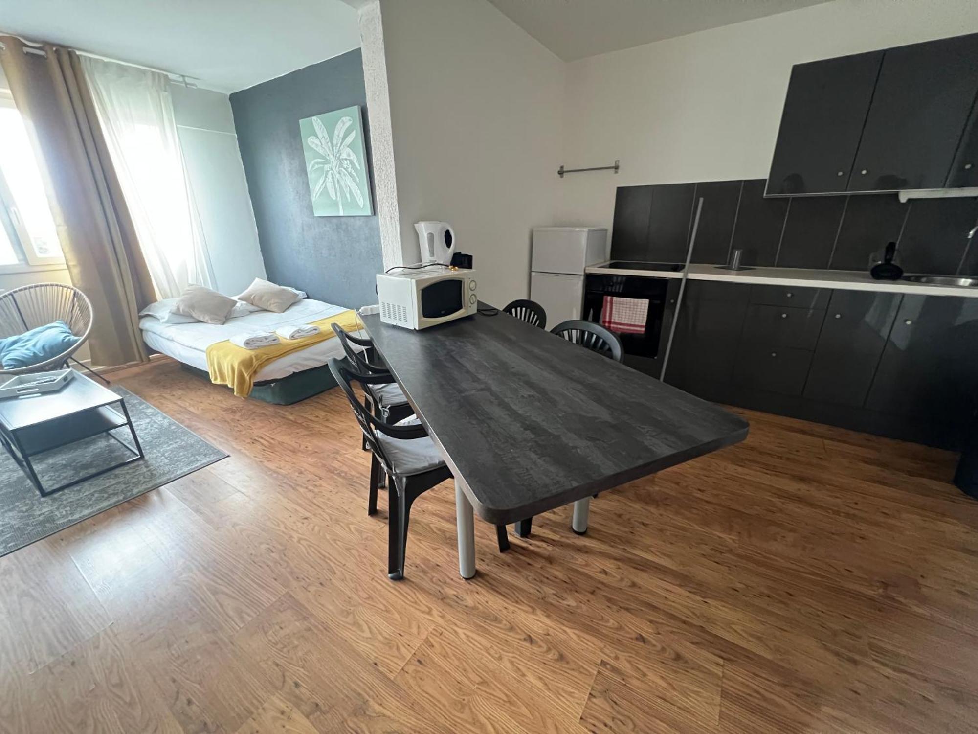 Mon Palmier Grand Parking Un-sejour-a-part Apartment Metz